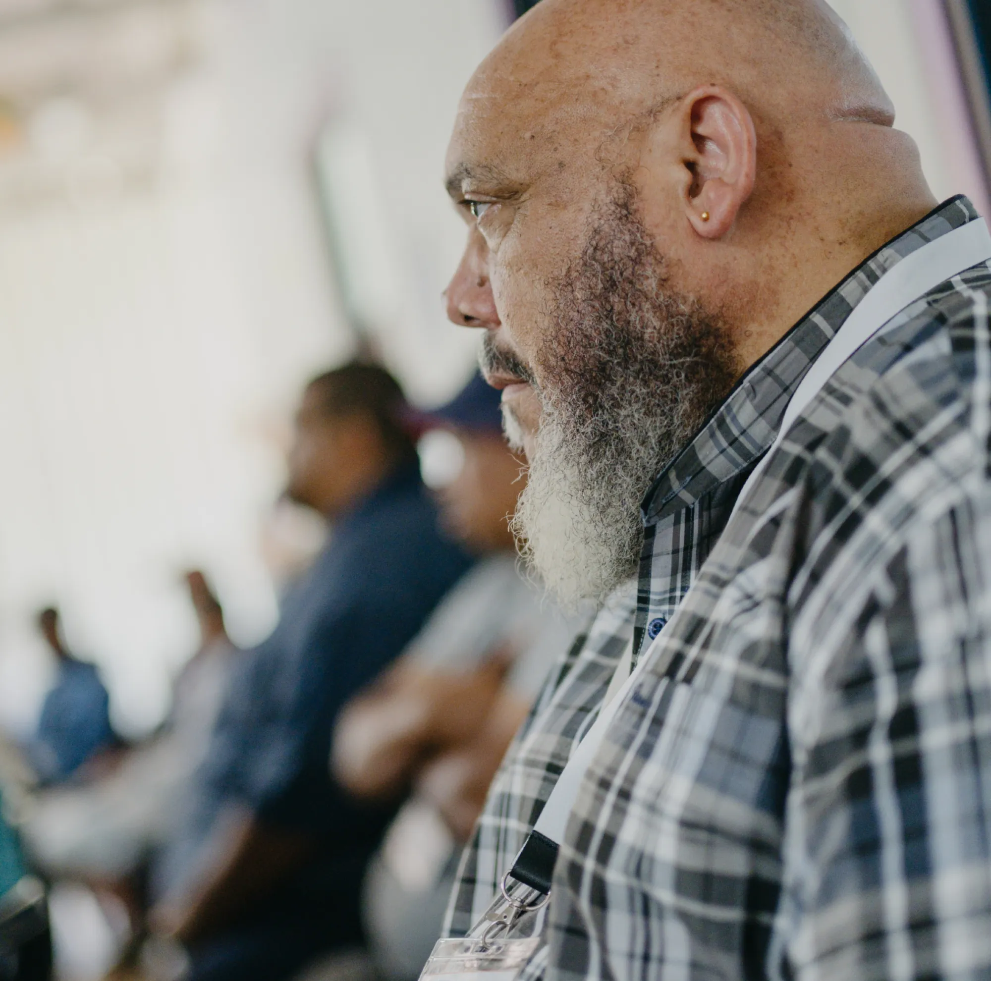 I am an image I am an image