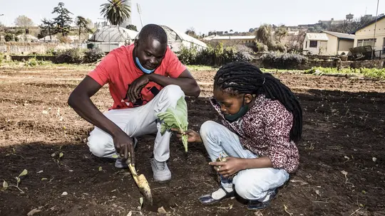 MG 9818 mg 9818 MG 9818 mg 9818