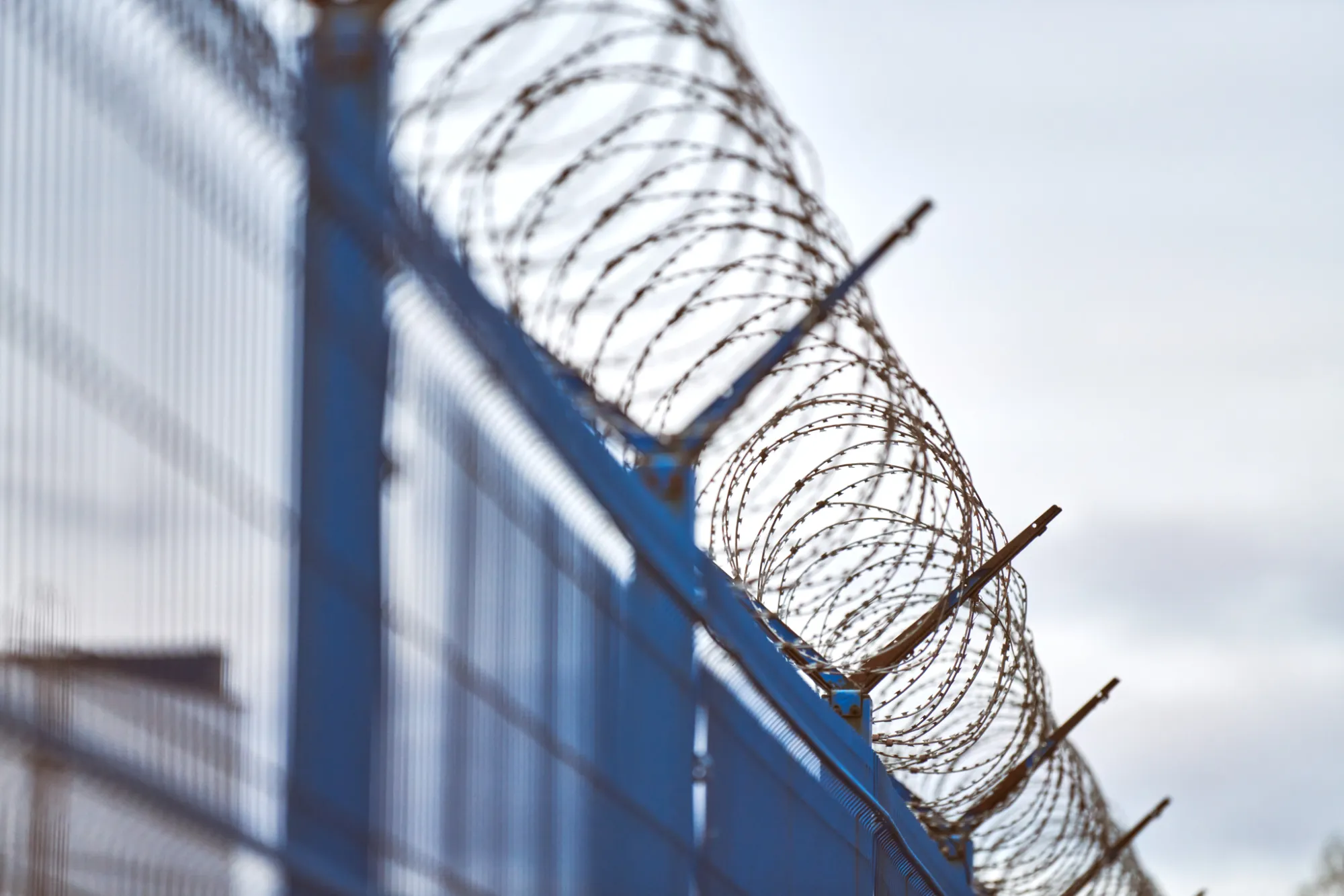 I am an image I am an image