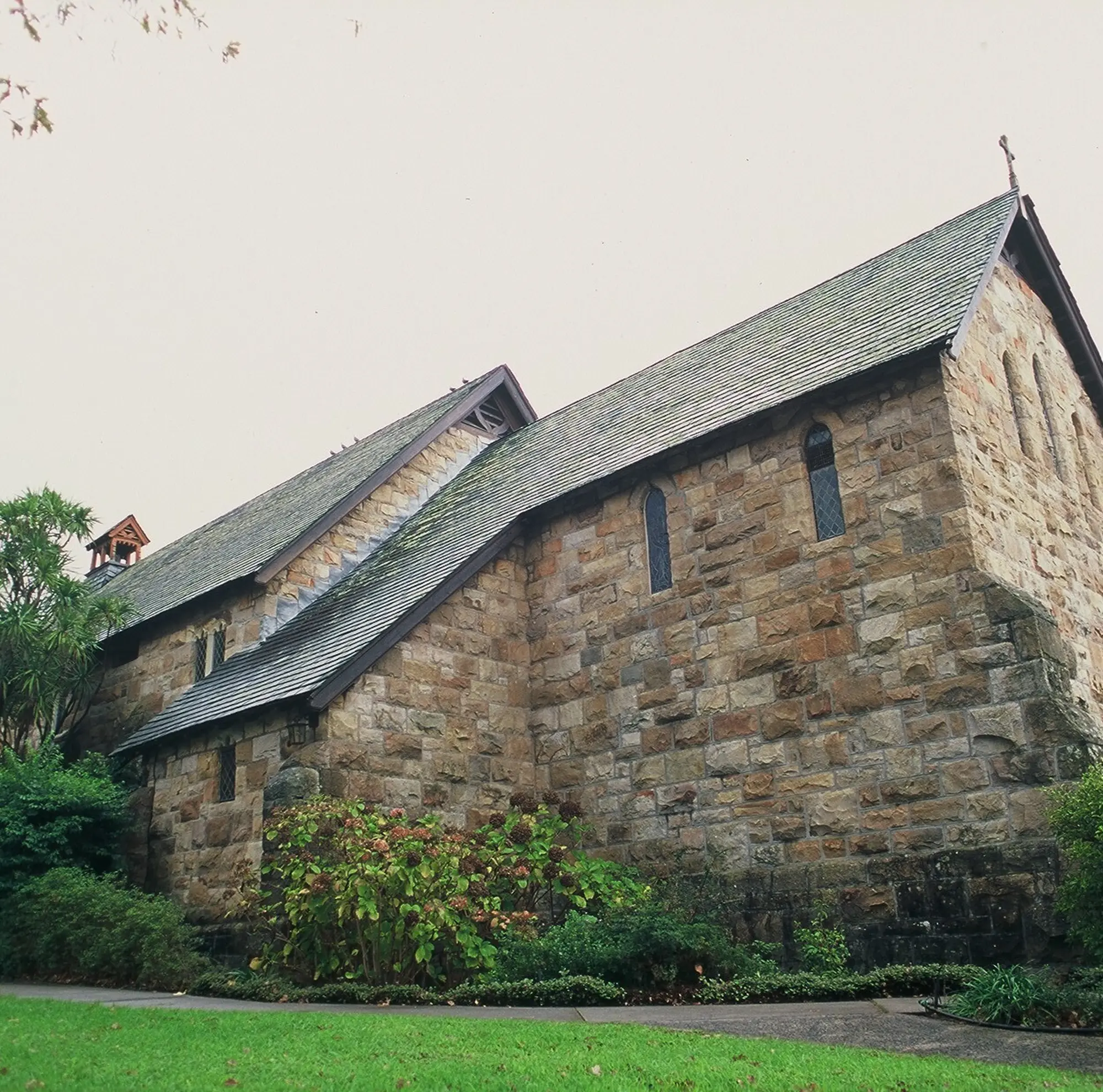 I am an image I am an image