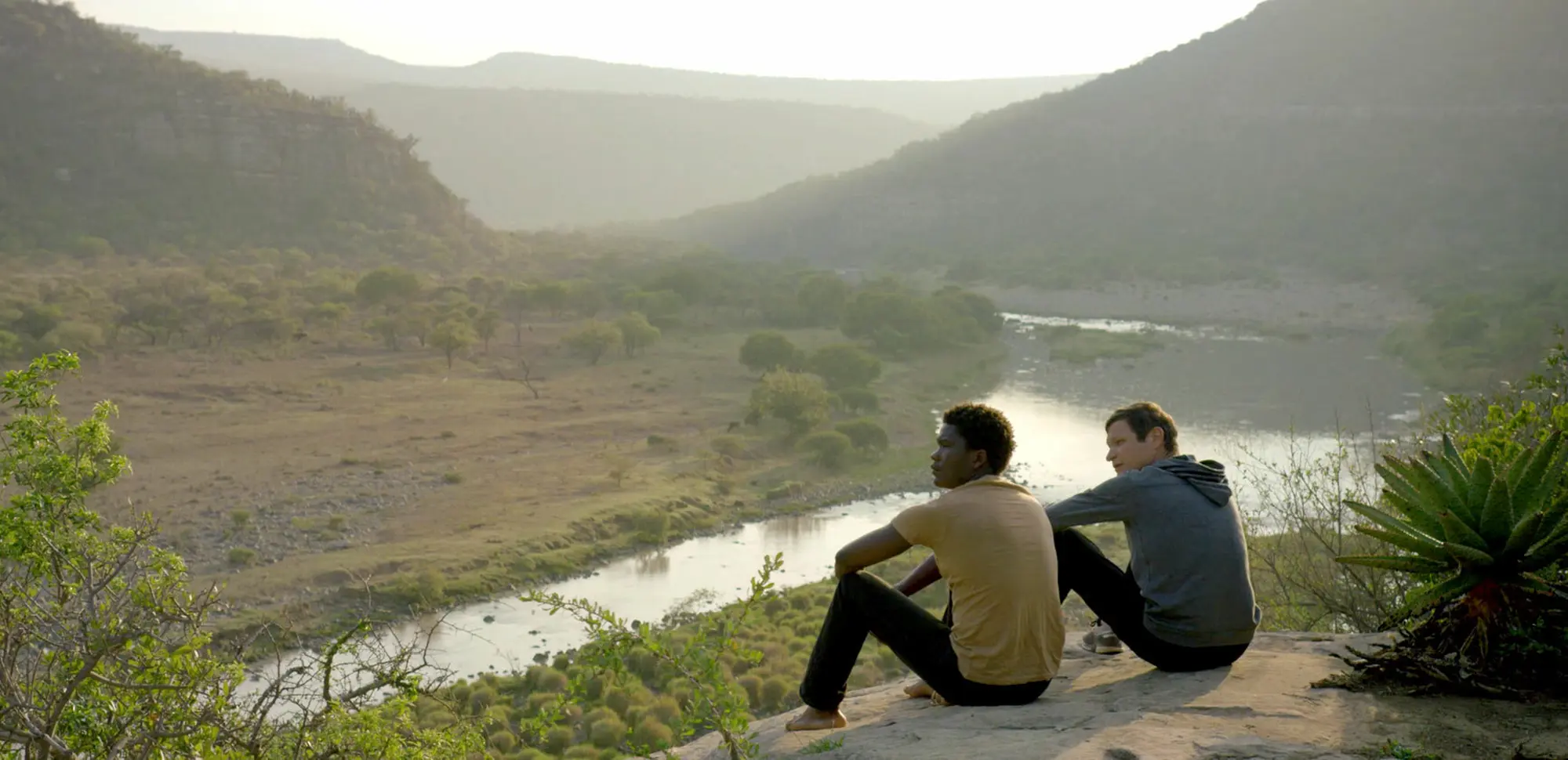 I am an image I am an image