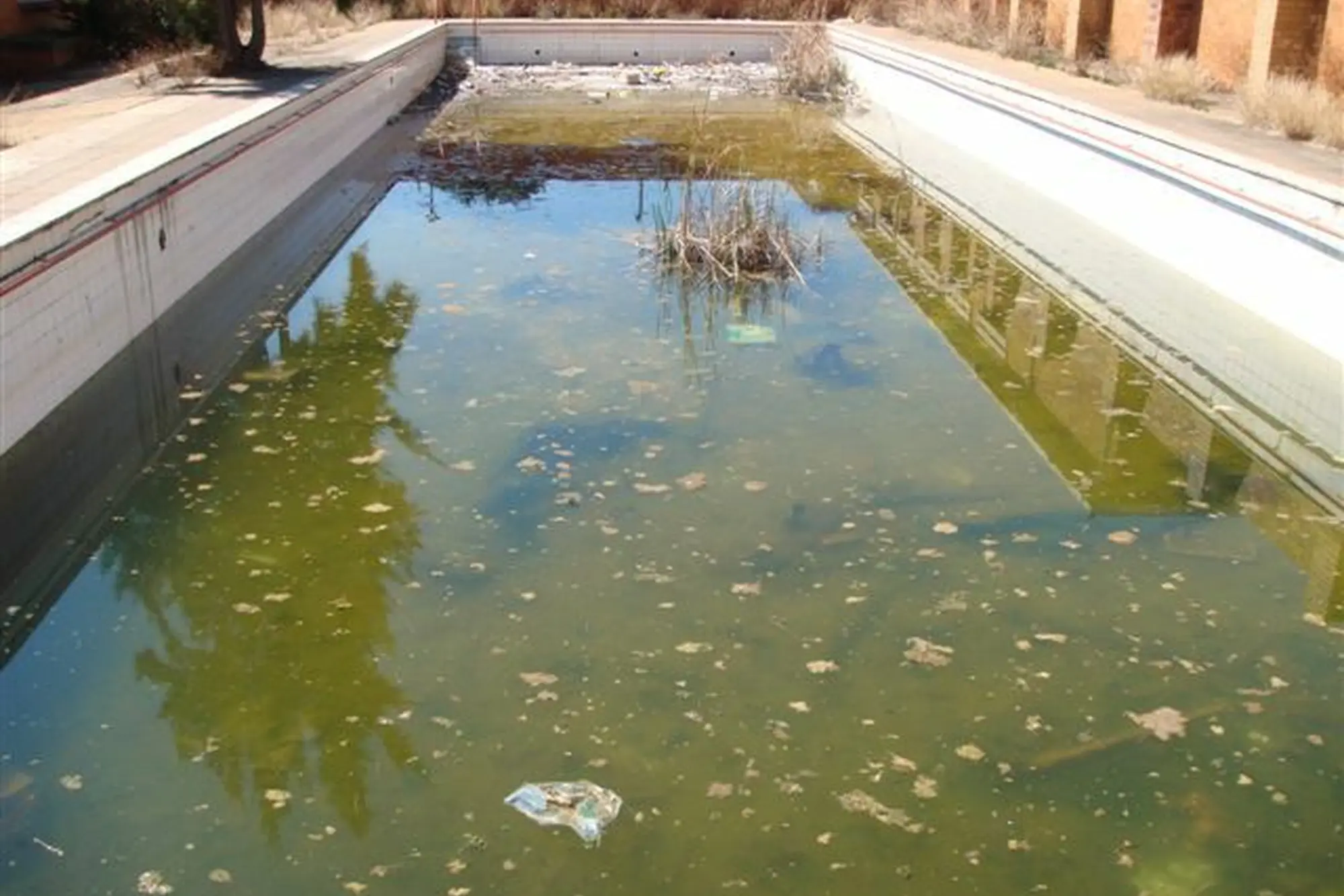 I am an image I am an image