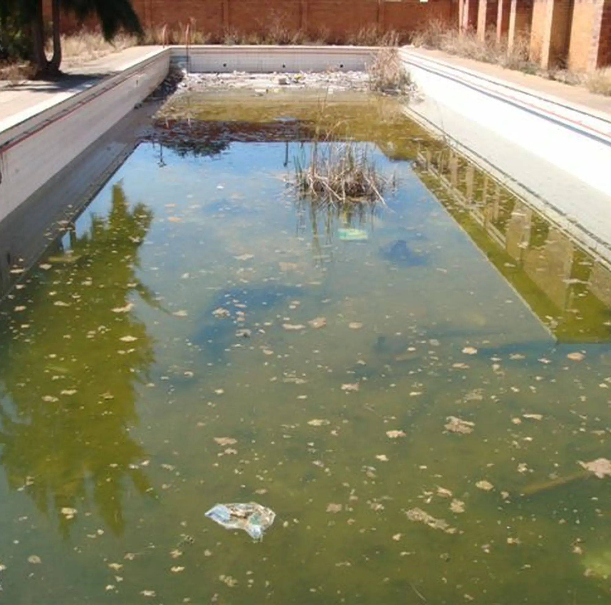 I am an image I am an image