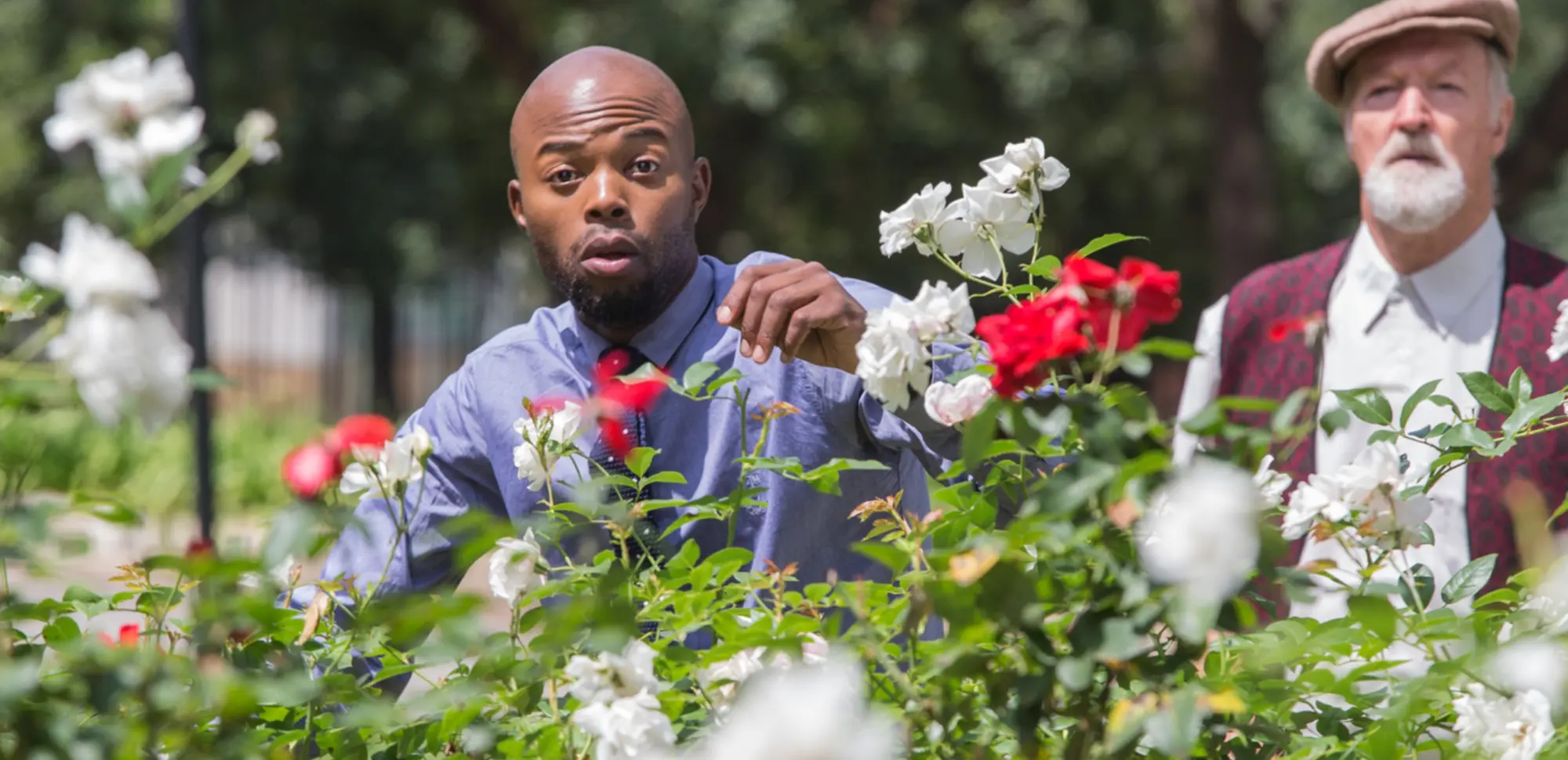 I am an image I am an image