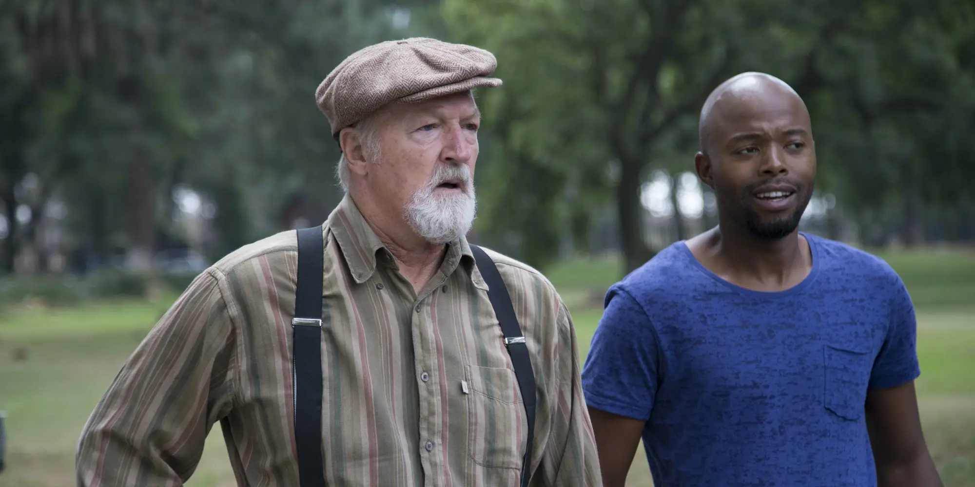 I am an image I am an image