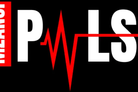 Mzanzi Pulse Mzanzi Pulse