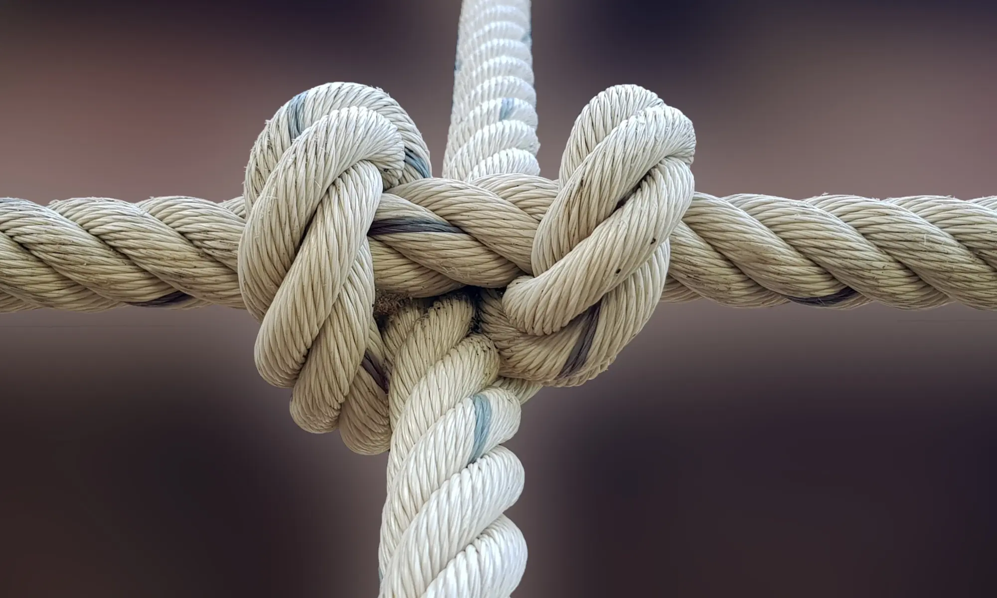 Interpersonal Pic 3 Interpersonal Pic 3