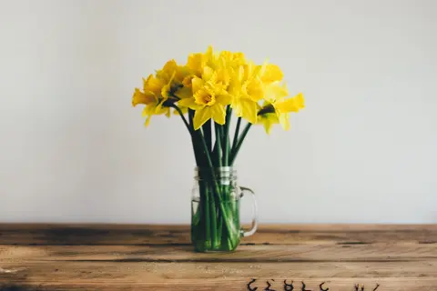 Annie spratt g XQCE Lcn I2 U unsplash Annie spratt g XQCE Lcn I2 U unsplash