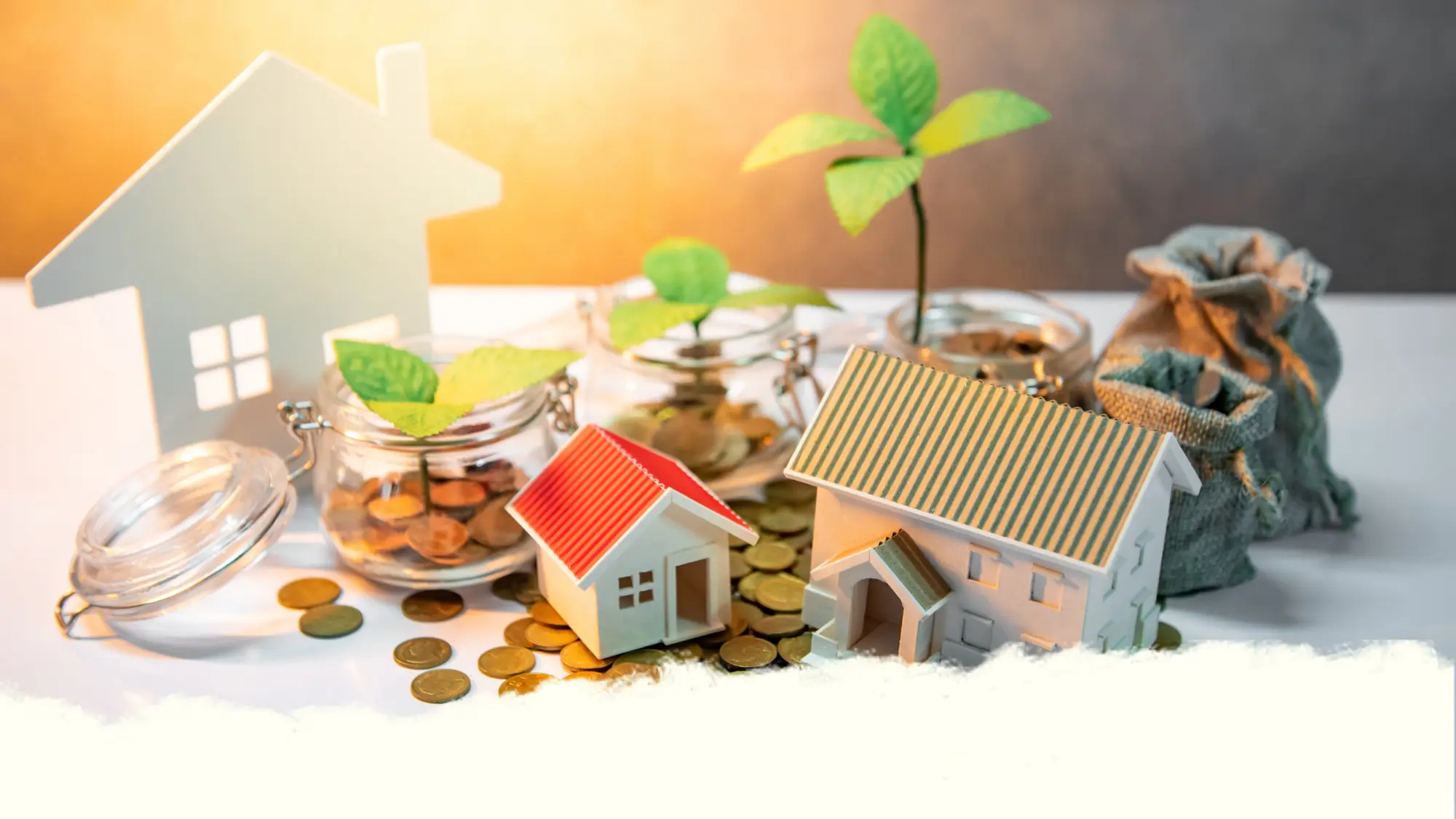 I am an image I am an image