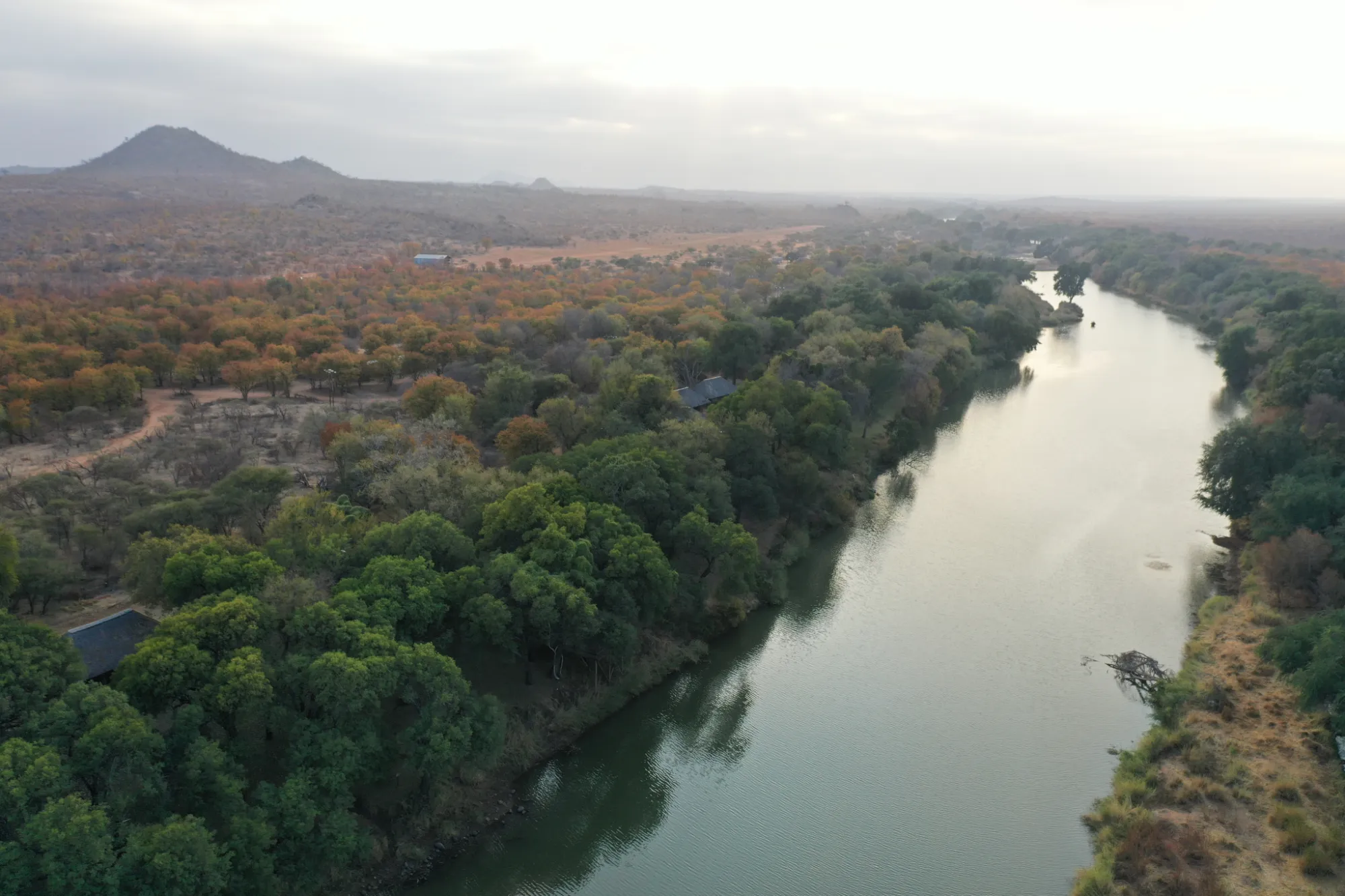 I am an image I am an image