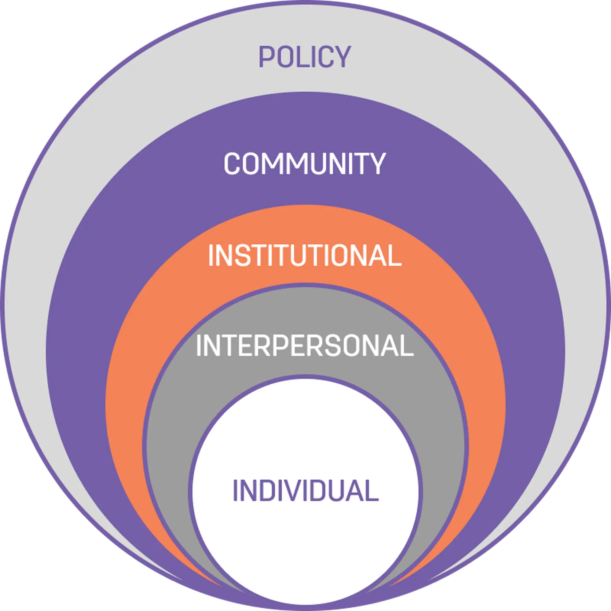 I am an image I am an image