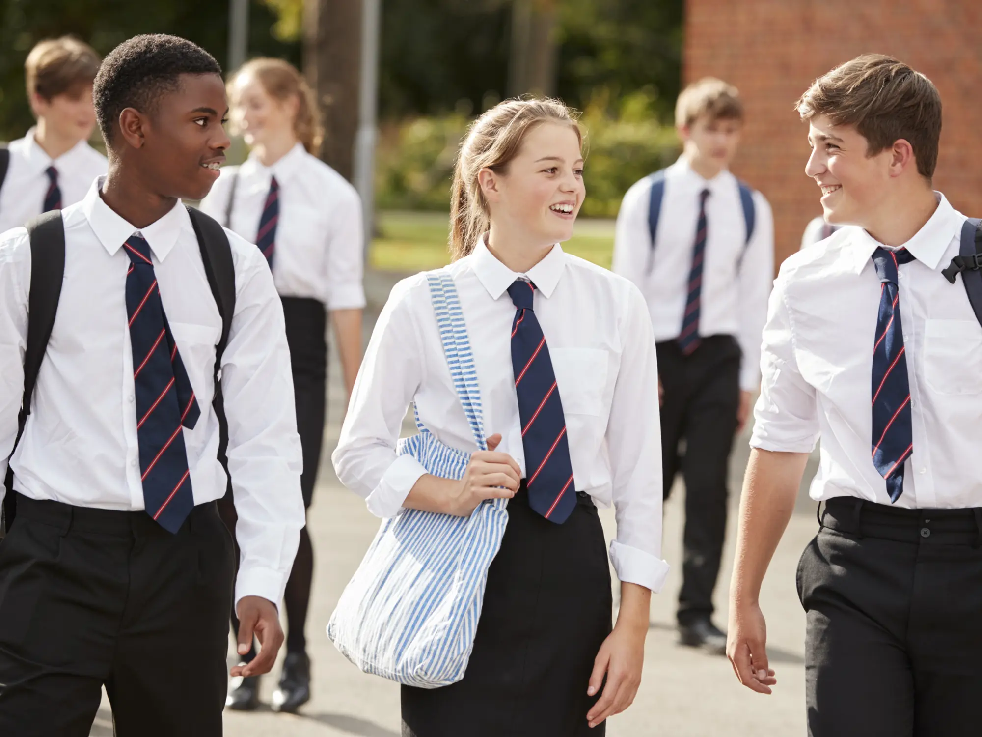 Adobe Stock 183480606 Adobe Stock 183480606