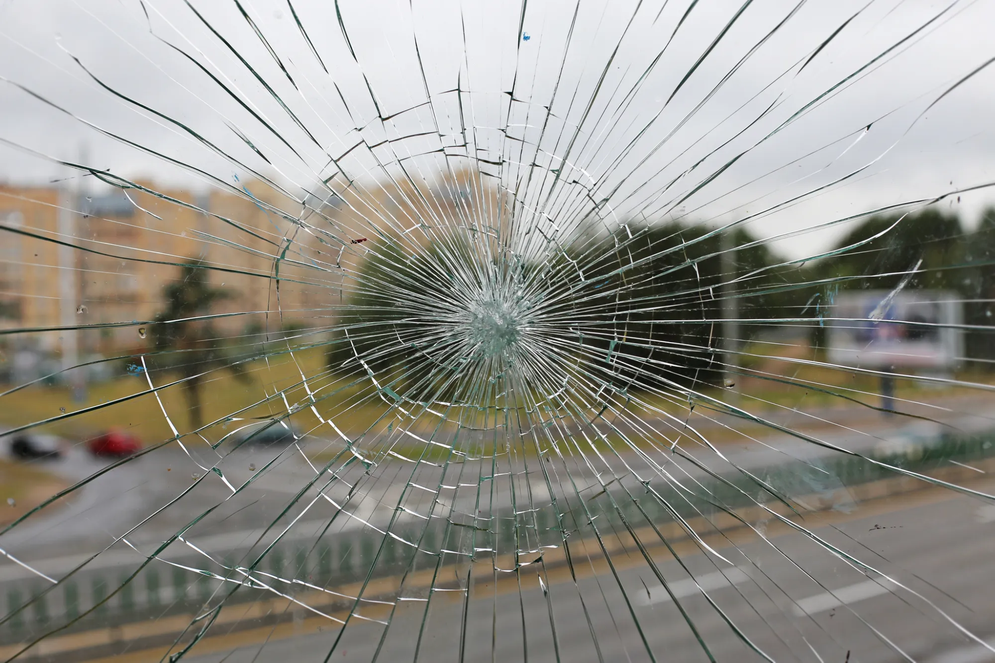 I am an image I am an image